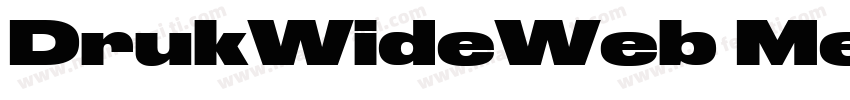 DrukWideWeb MediumIt字体转换